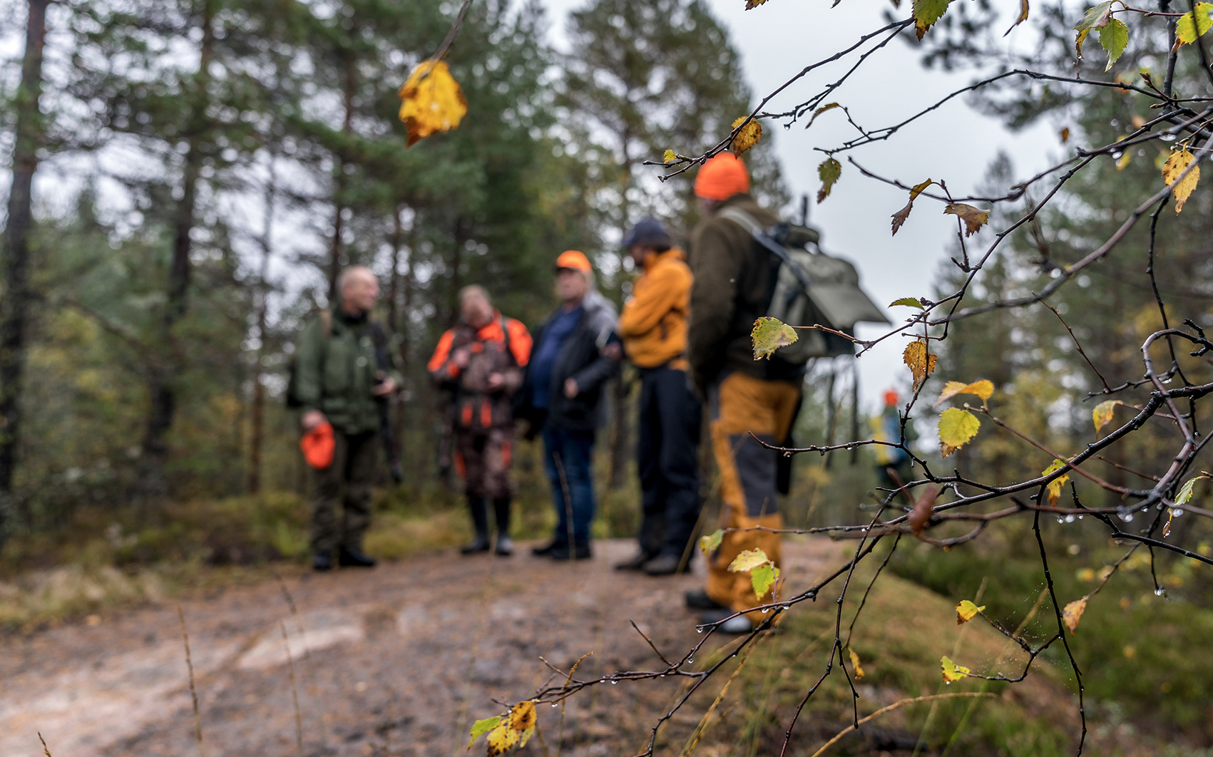 Deltakere i aktivitet ute i marka