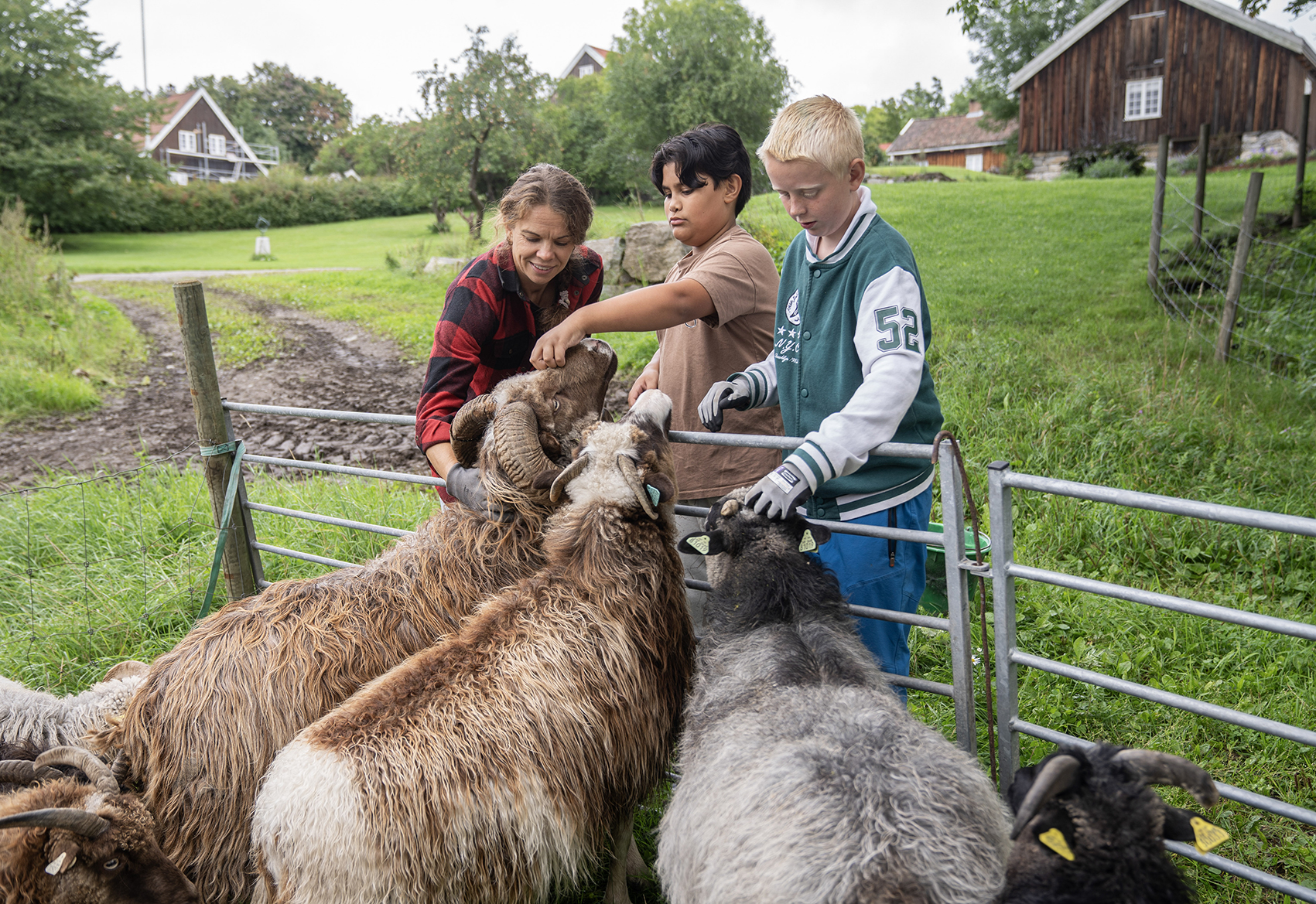 Ein skuledag på Syverstad gård.