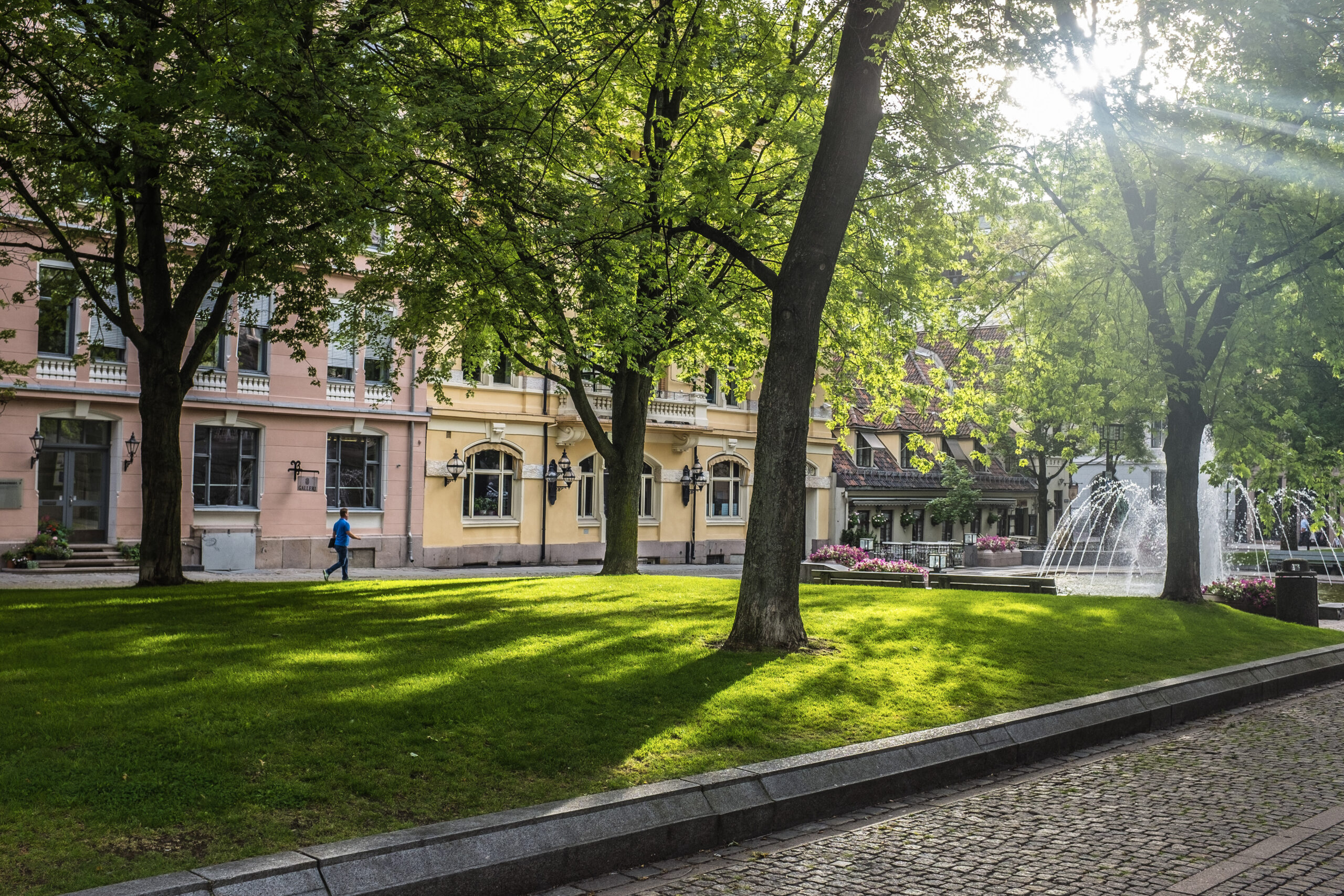 Et stort bygg i sollys delvis skjult av trær, med gressplen foran.