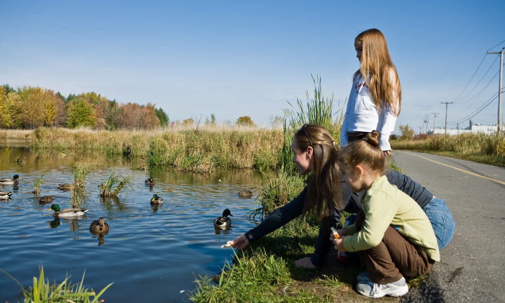 En kvinne og to barn mater ender i en dam