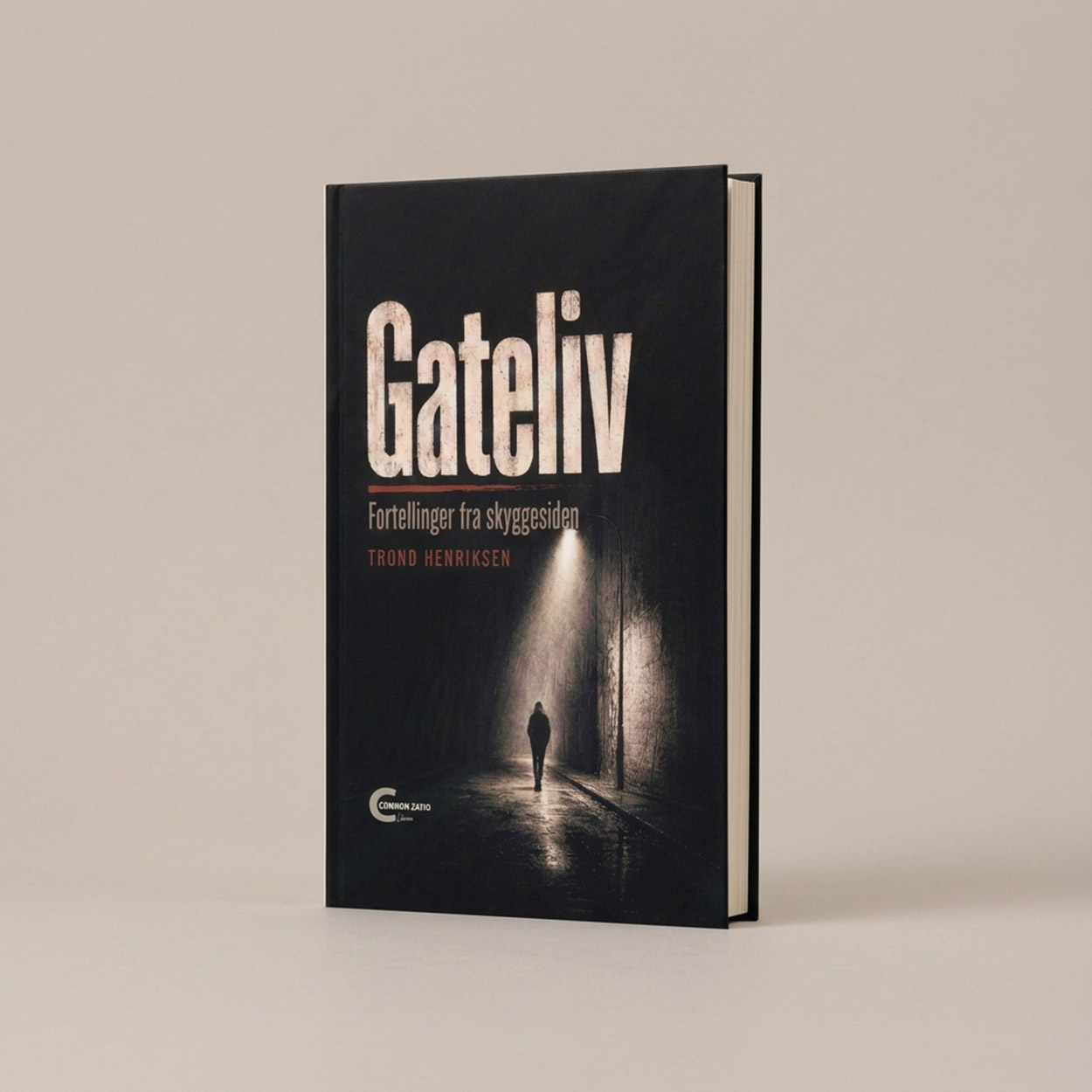 Gateliv - fortellinger fra skyggesiden