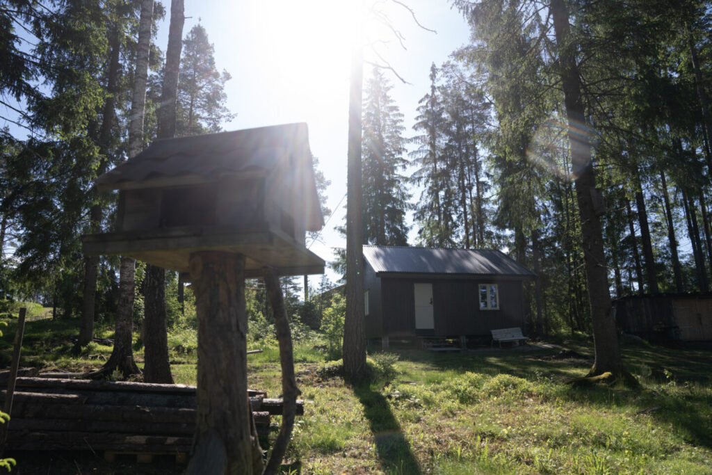 Trehytte, skog og et uthus